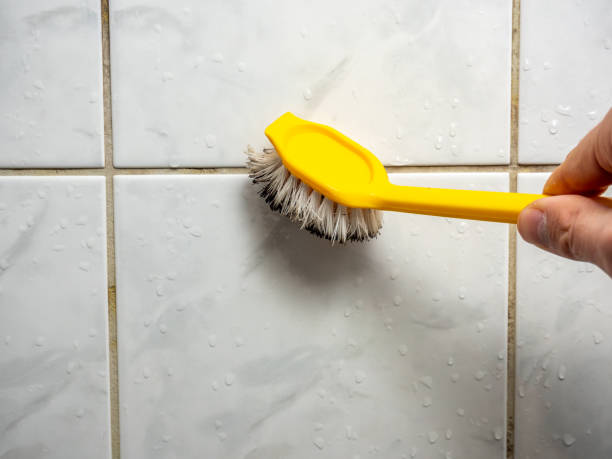 Best Mold Testing  in Sanger, CA