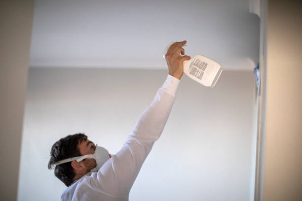 Best Home Mold Removal  in Sanger, CA