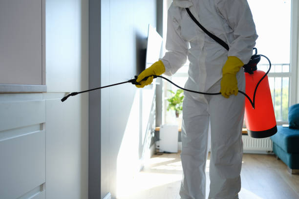 Best Black Mold Removal  in Sanger, CA