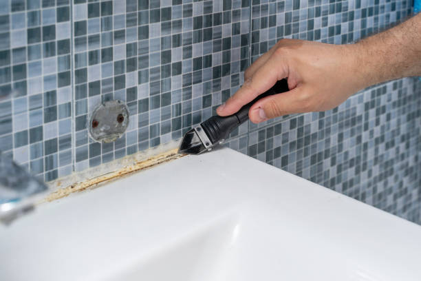 Best Mold Damage Repair  in Sanger, CA