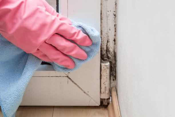 Best Crawl Space Mold Removal  in Sanger, CA